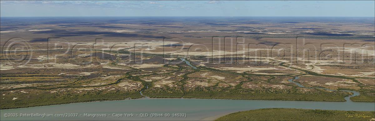 Peter Bellingham Photography Mangroves - Cape York - QLD (PBH4 00 14532)